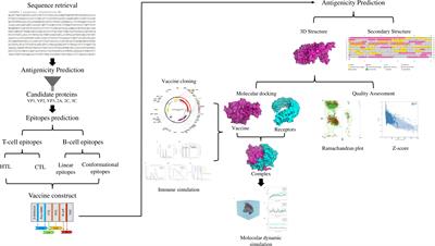 Designing a multi-epitope vaccine against coxsackievirus B based on immunoinformatics approaches